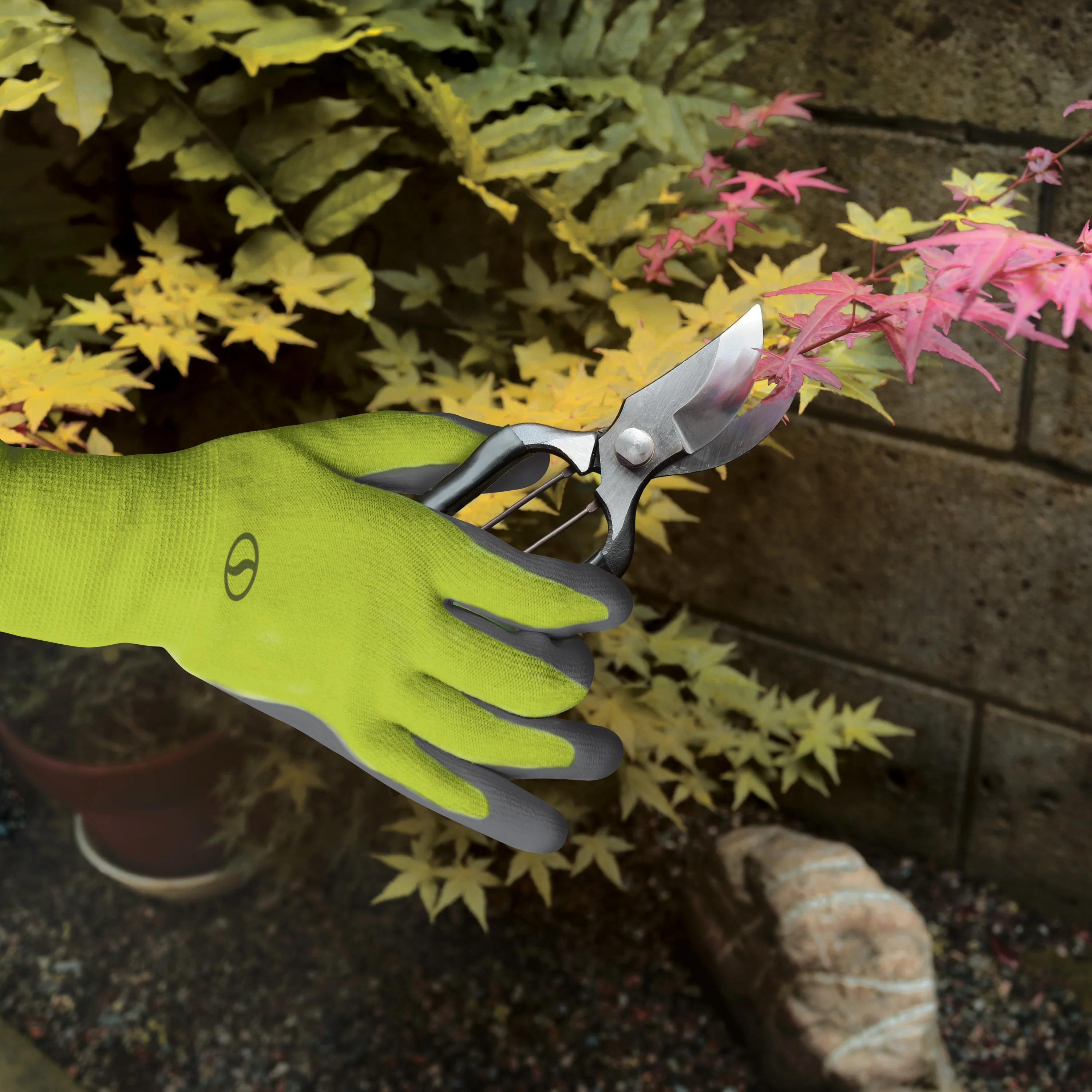 Thumb 5
